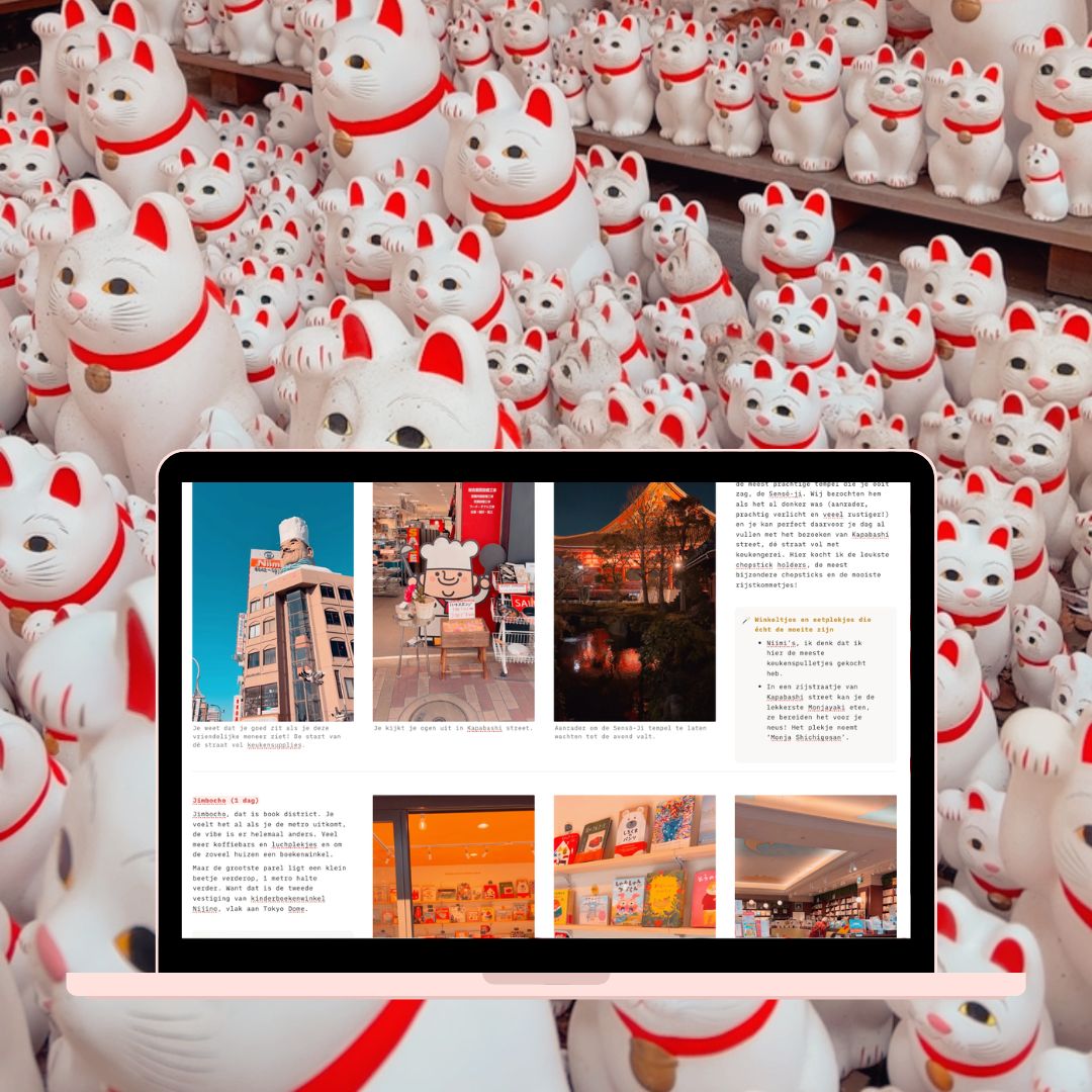 Notion Overzicht: Onze reis naar Japan 🇯🇵