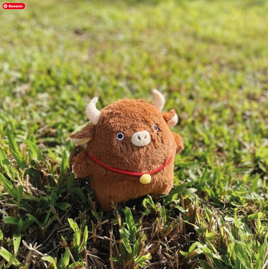 Moo de stier